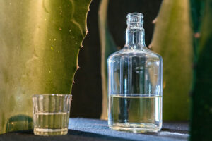 Clear glass bottle with a transparent liquid beside a small glass on a dark surface, with tall green cacti in the background.